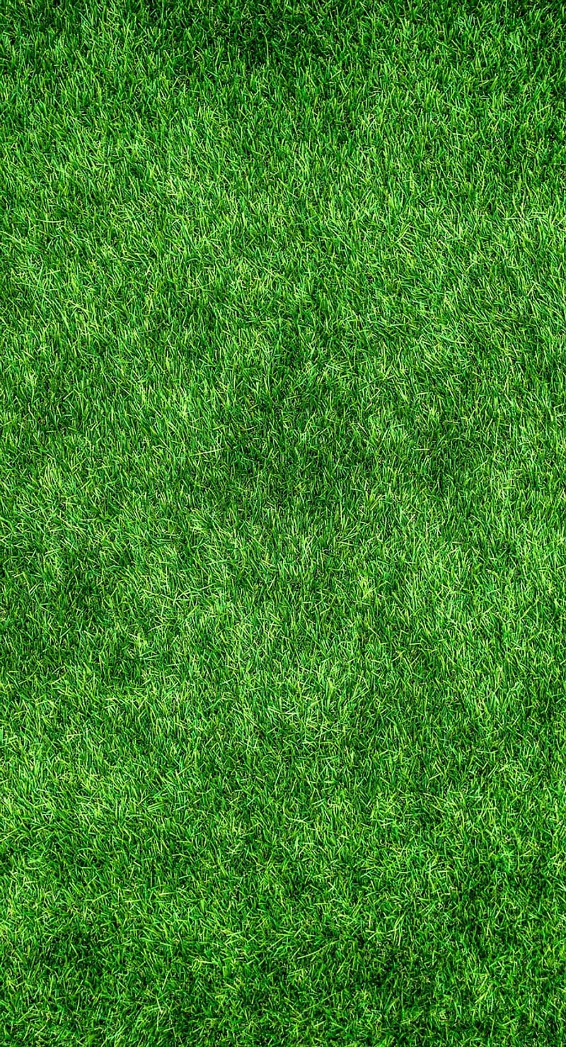 Sustainable Materials